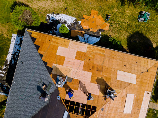 Best Storm Damage Roof Repair  in Deerwood, TX