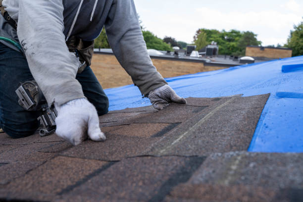 Best Best Roofing Contractors  in Deerwood, TX