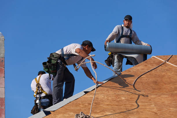 Best Roof Repair Services  in Deerwood, TX