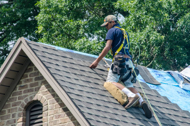 Best Affordable Roofing Company  in Deerwood, TX